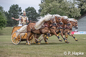 Pferd International 2019